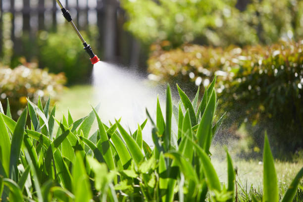 24/7 Emergency Mosquito Control experts in St. Bonaventure, NY