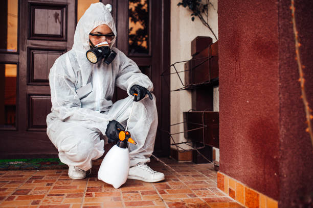Reliable Mosquito Control contractor in St. Bonaventure, NY by Show Me Pest Control